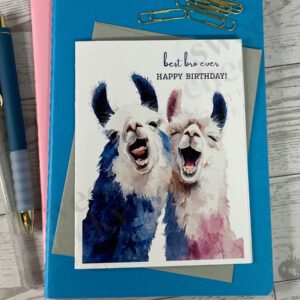 greeting card collection featuring a pair of sibling llamas and the message "best bro/sis ever Happy Birthday"