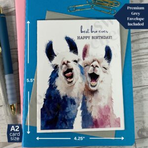 greeting card collection featuring a pair of sibling llamas and the message "best bro/sis ever Happy Birthday"