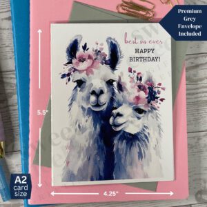 greeting card collection featuring a pair of sibling llamas and the message "best sis ever Happy Birthday"