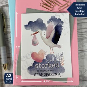 greeting card "totally storked to promote you to grandparents" featuring a stork carrying a baby